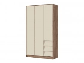 Шкаф трехдверный ШК-02 Рейн в Дудинке - dudinka.mebel-nsk.ru | фото